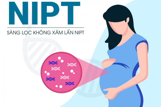 NIPT: When Is The Test Done And What Are Its Benefits?